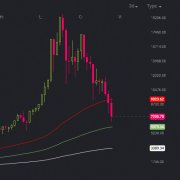 商场更新：BTC价格自12月以来的丢失65％